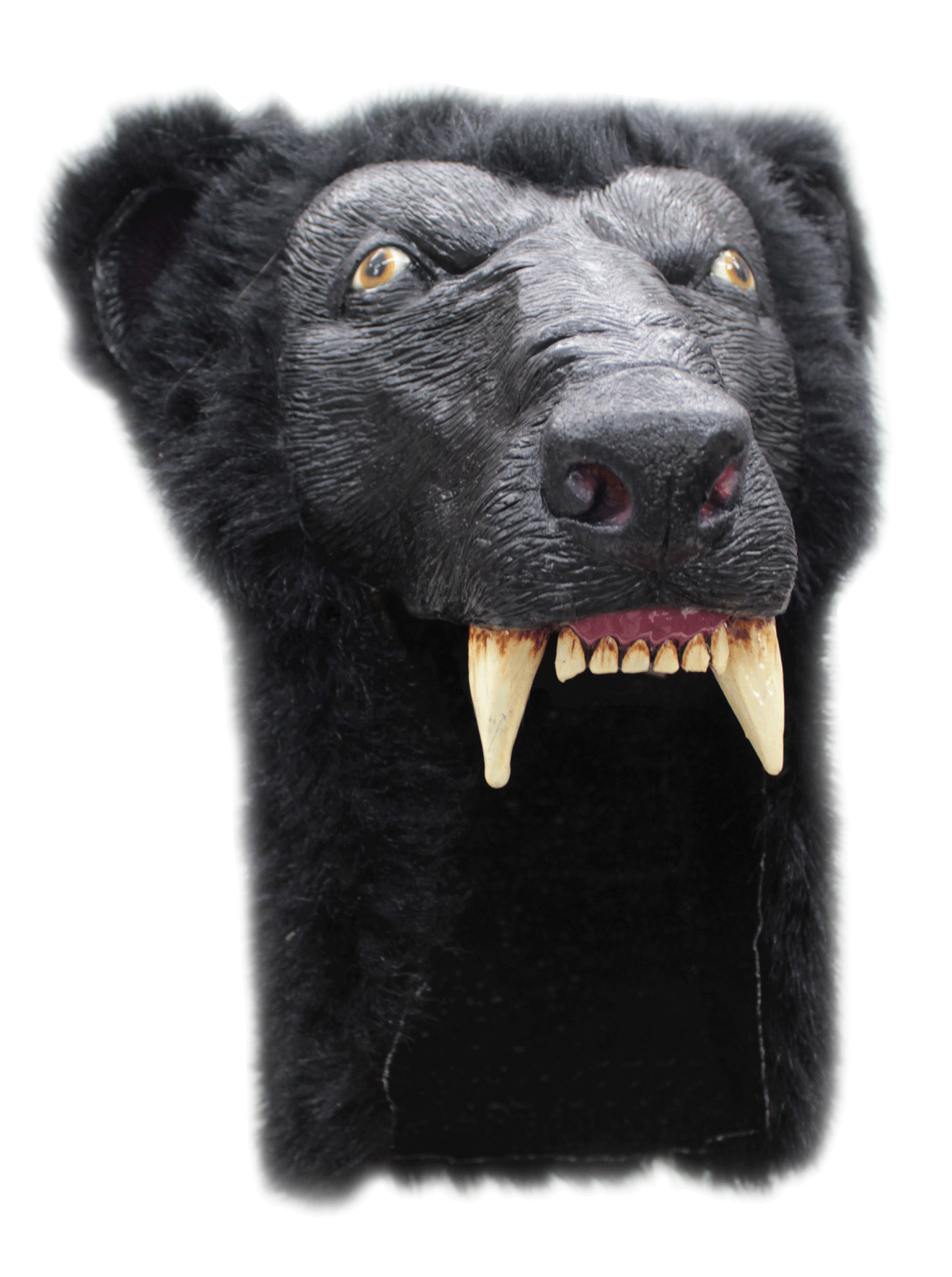 Black Bear Helmet