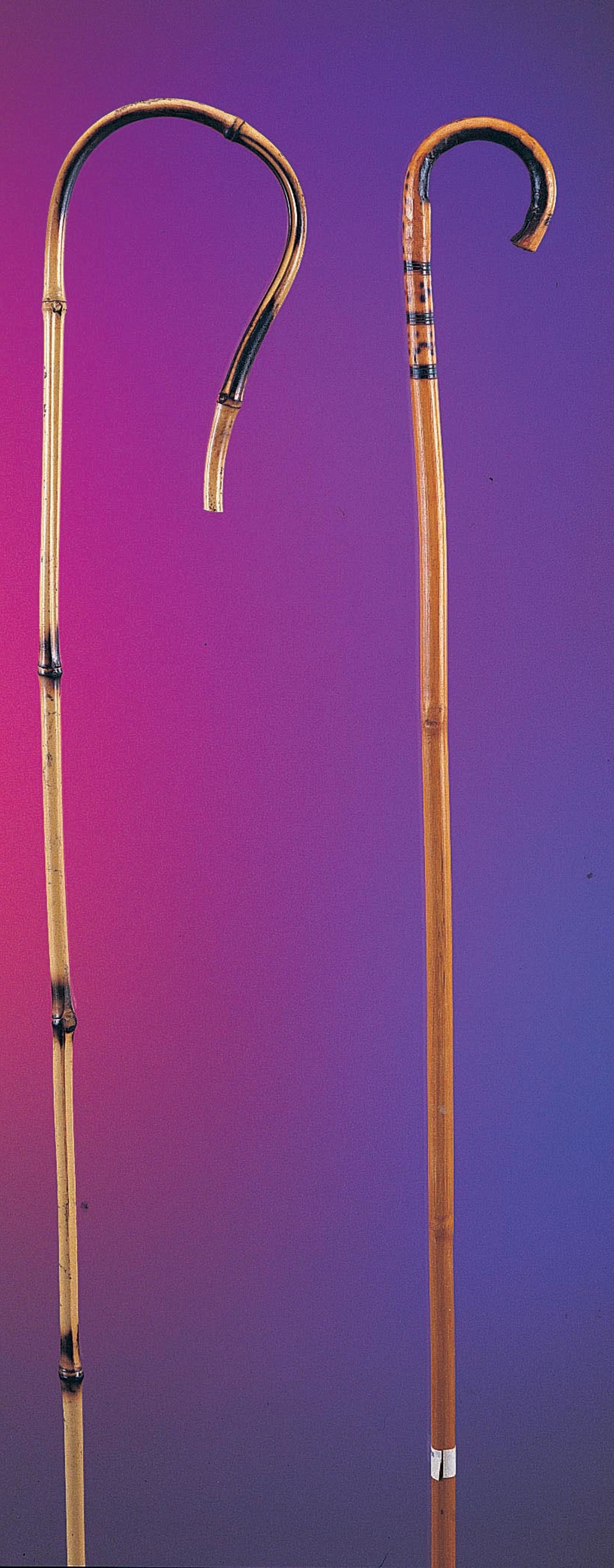 Bamboo Cane - 36" Long