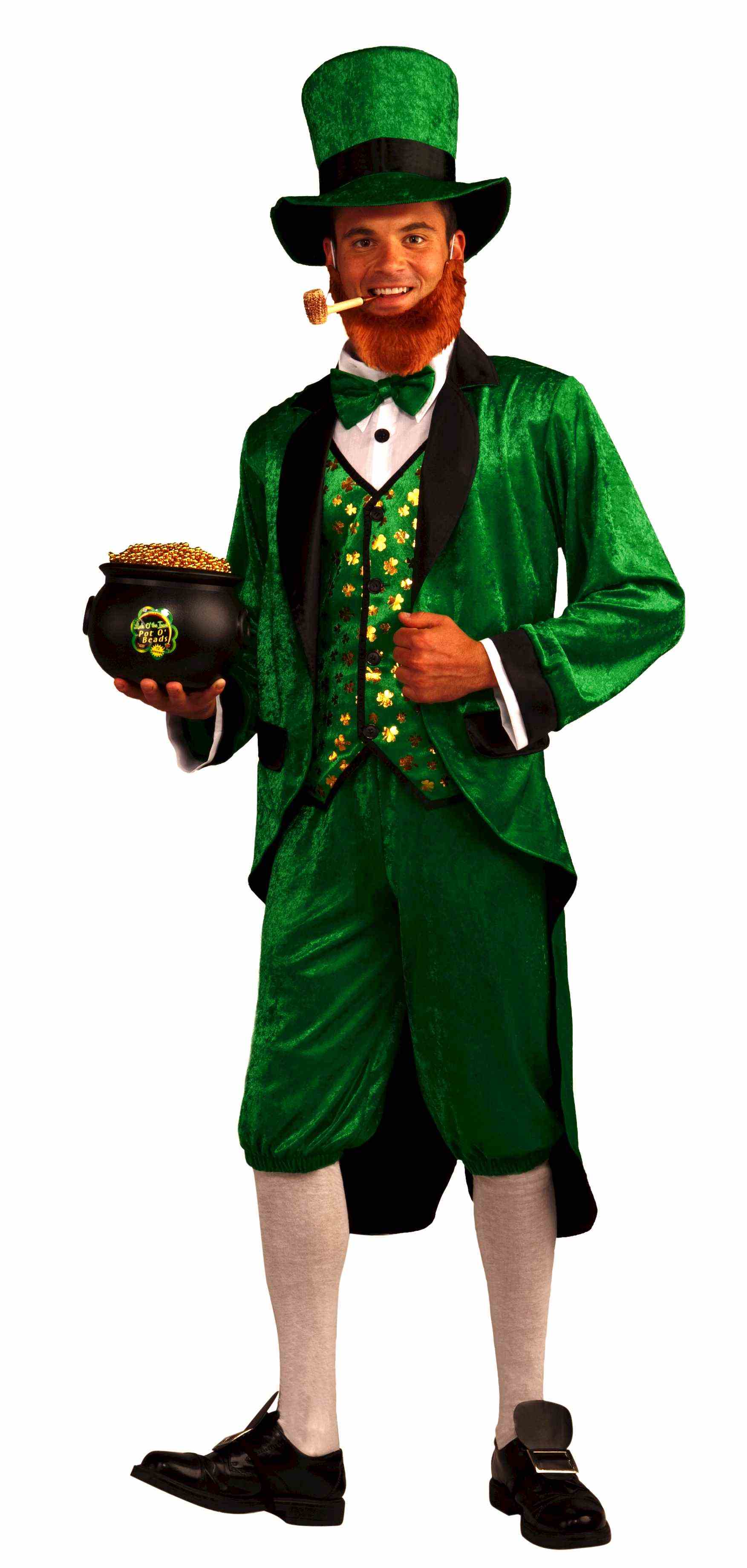Mr. Leprechaun