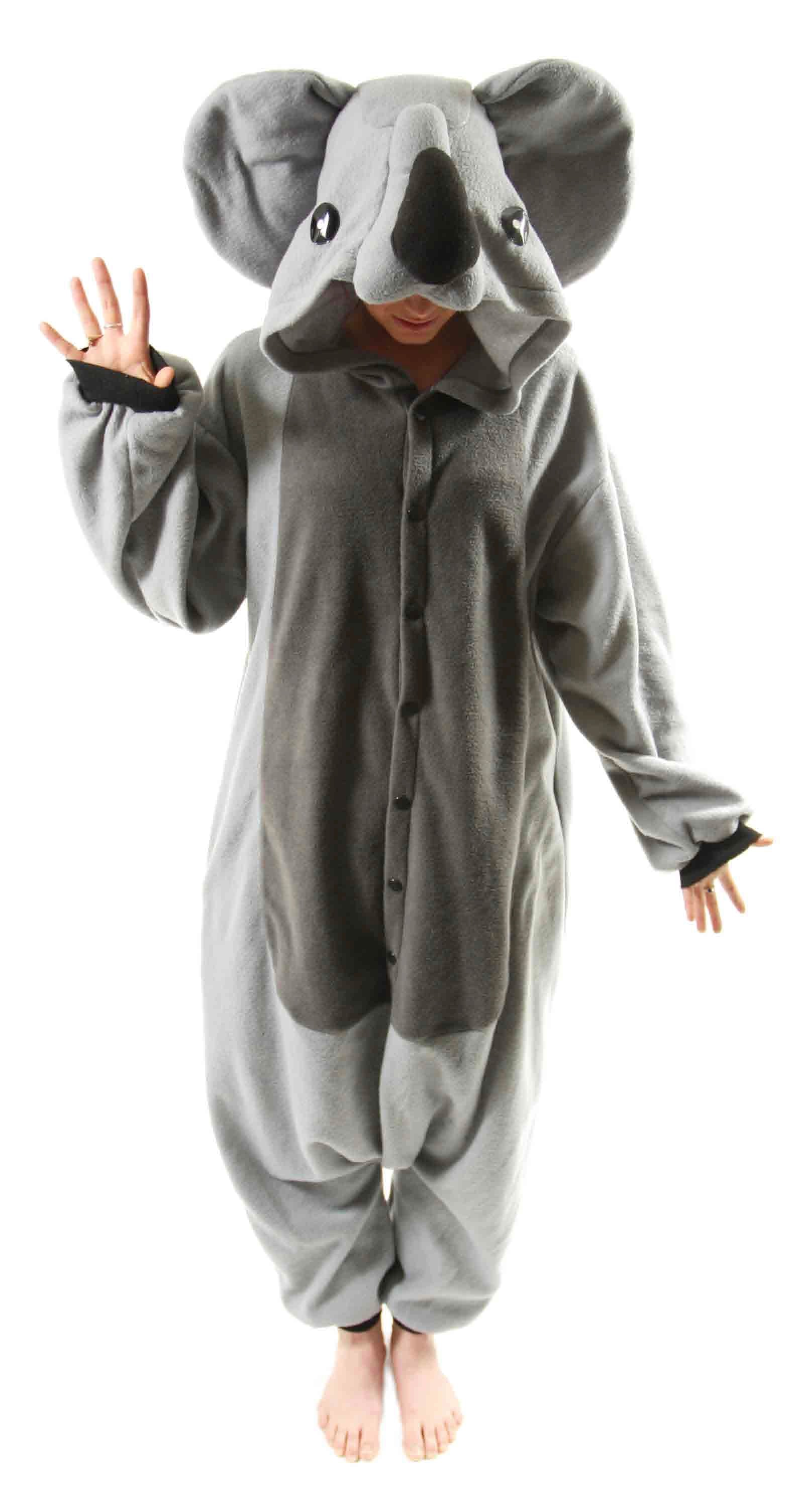 Adorable Koala Bear