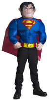 Superman Inflatable