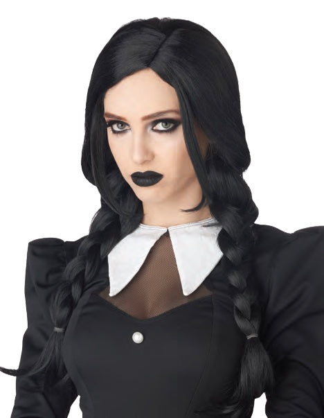 Dark Braids Wig