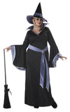 Incantasia Witch Plus Size