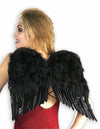 Black Feather Wings