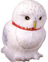 Hedwig The Owl