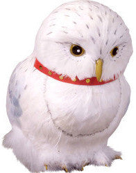 Hedwig The Owl