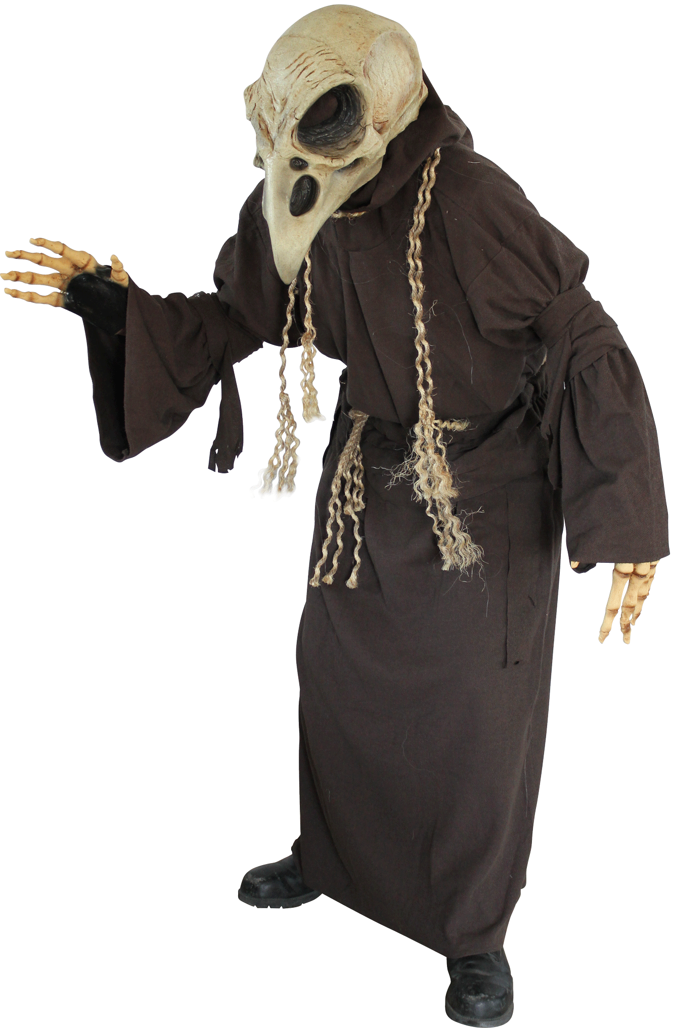 Crow Costume