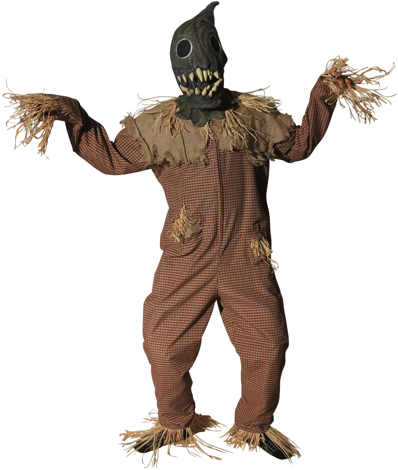 Scarecrow Costume