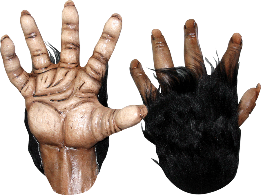 Chimp Brown Hands