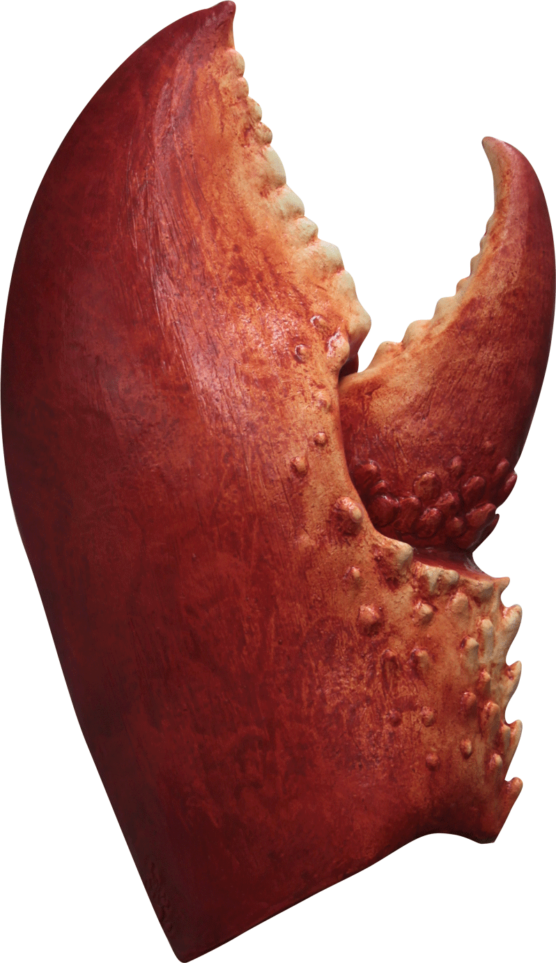 Lobster Claws