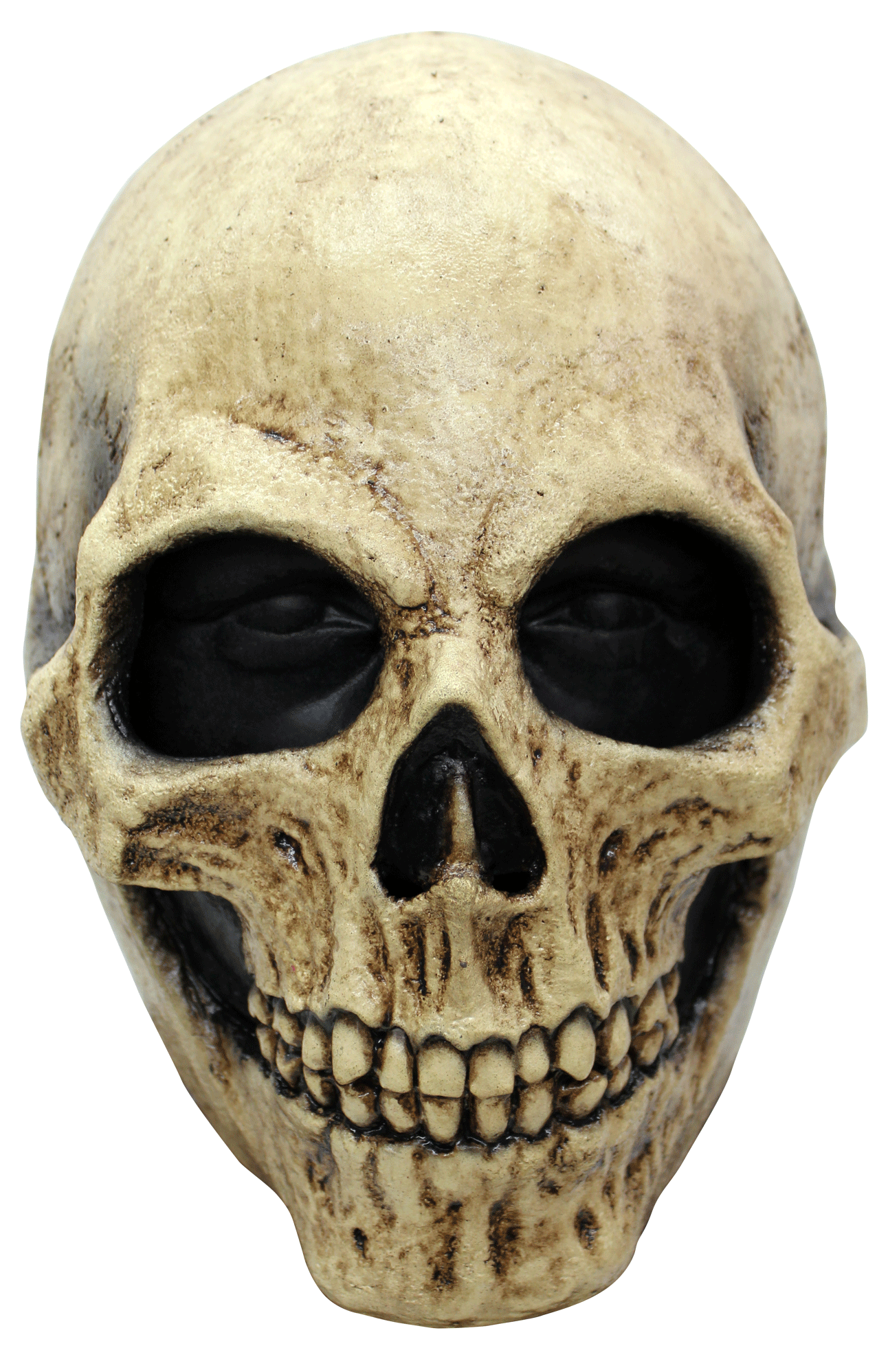 Bone Skull Mask