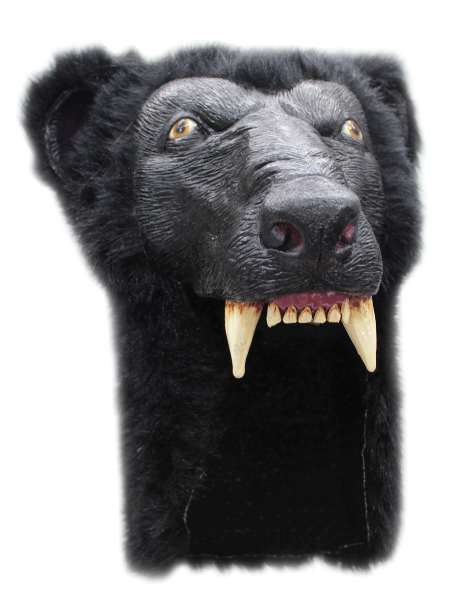 Black Bear Helmet