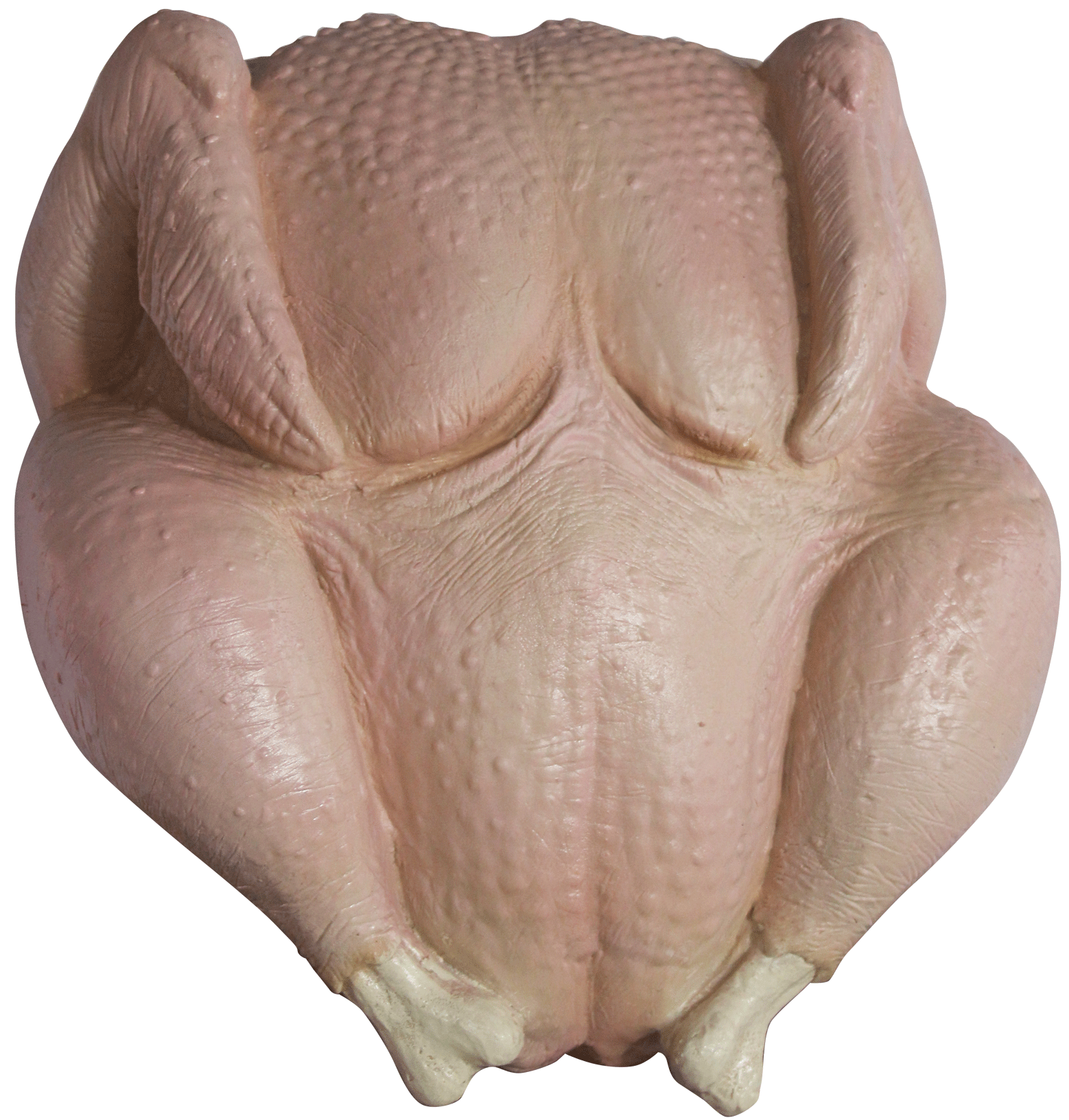 Raw Turkey Mask