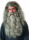 Gandalf Wig and Beard Gray
