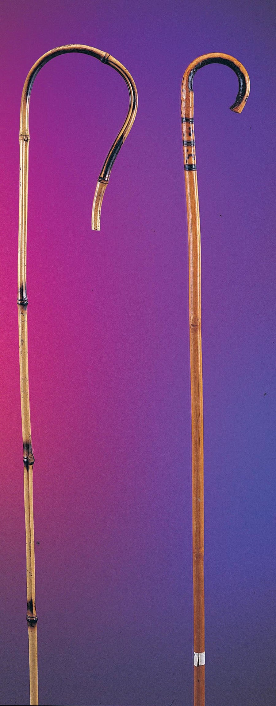 Bamboo Cane - 36" Long