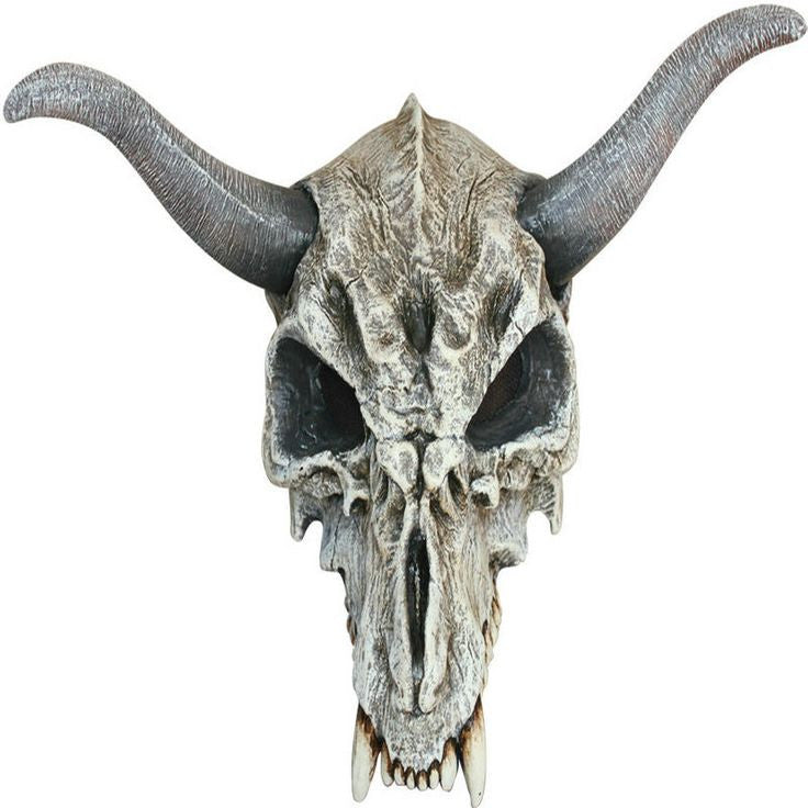 Animal Skull