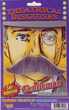 Gentleman's Moustache Gray