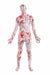 Bloody Morphsuit