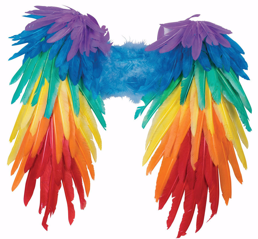 Rainbow Feather Wings