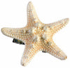 Mermaid Star Fish Hairclip