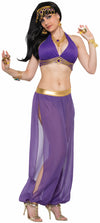 Desert Princess Haram Pants Purple