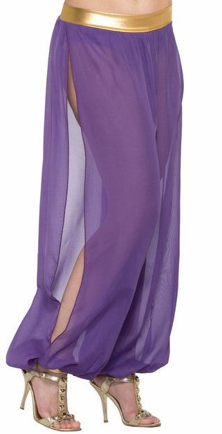 Desert Princess Haram Pants Purple