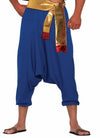 Desert Prince Pants Blue