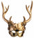 Golden Faun Mask