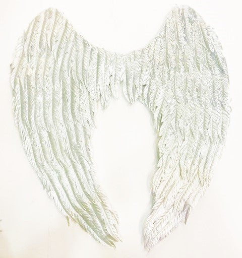 Silver Non-Feathered Wings
