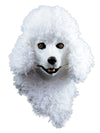 Moving Jaw Masks - Poodle