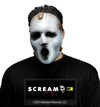 Scream Mask