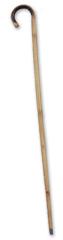 Bamboo Cane