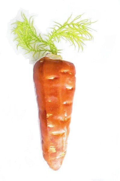 Bunny Carrot