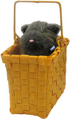 Toto In The Basket