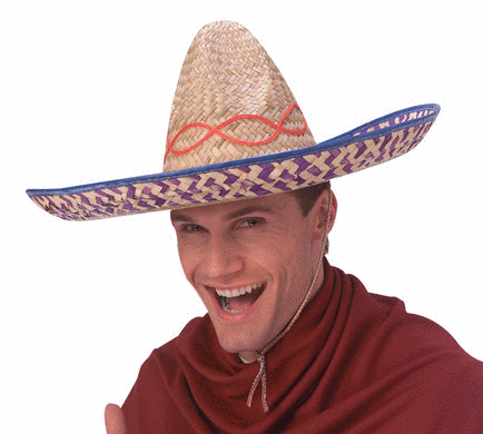 Embroiderd Straw Sombrero