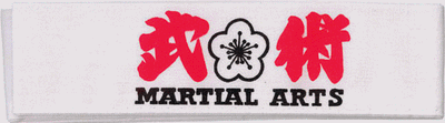 Martial Arts Headband