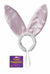 Bunny Ears Satin Plush