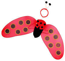 Lady Bug Set