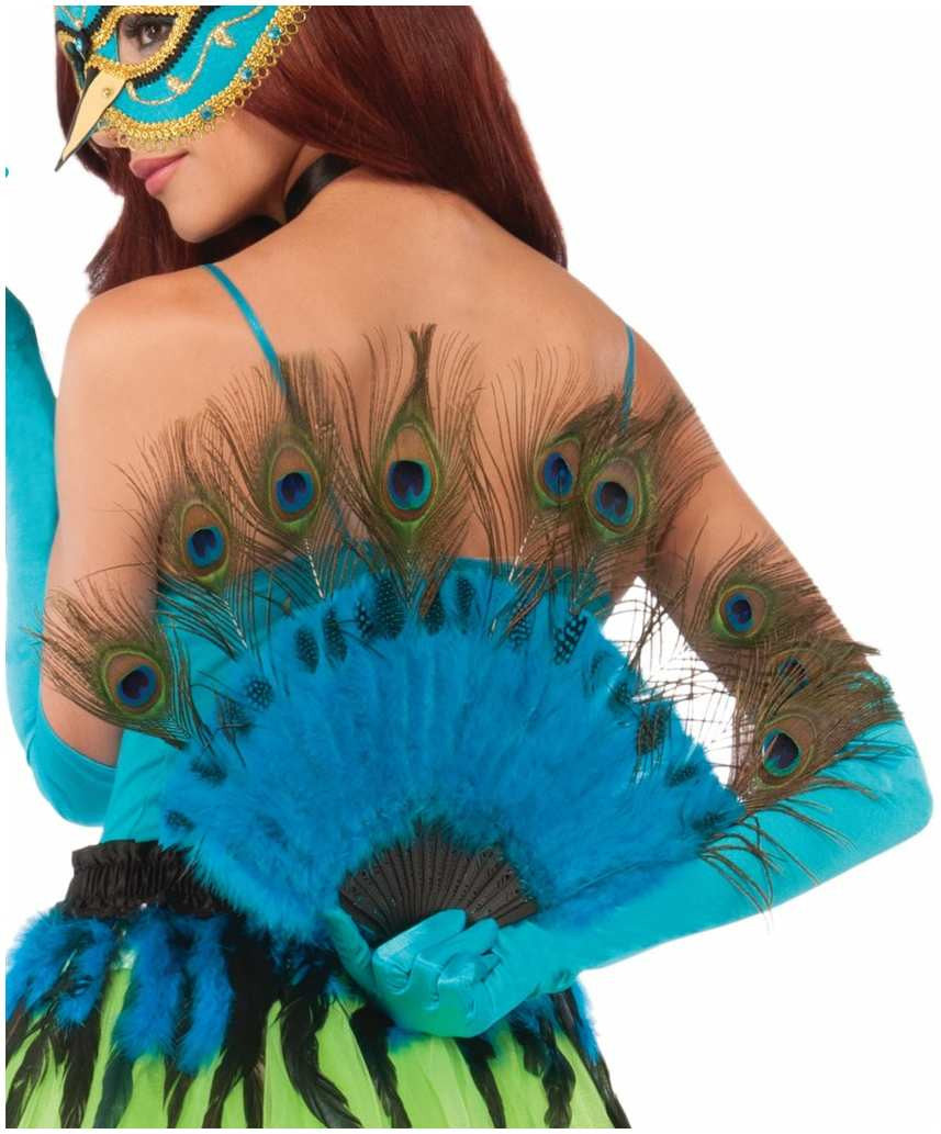 Peacock Tail Fan